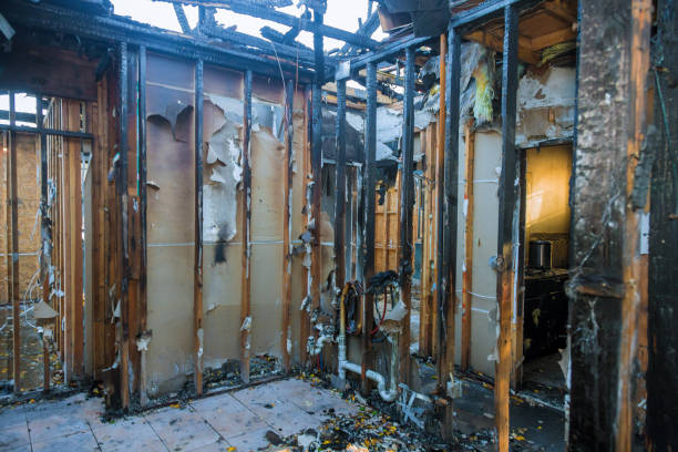 Professional Fire Damage Removal technician working in Mount Pleasant, SC